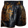 Muay Thai Shorts